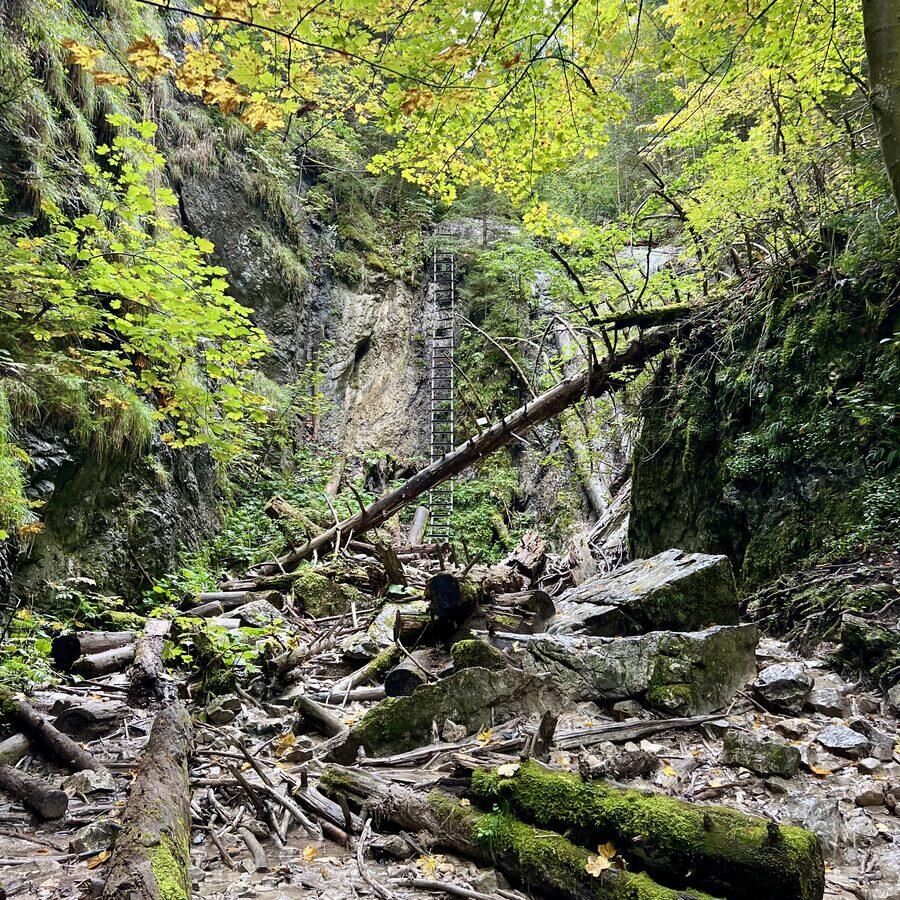 Kláštorská rokľa — foto 3