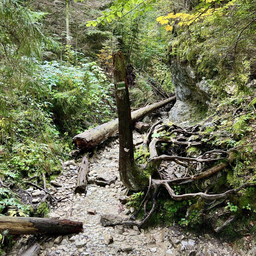 Kláštorská rokľa — foto 6