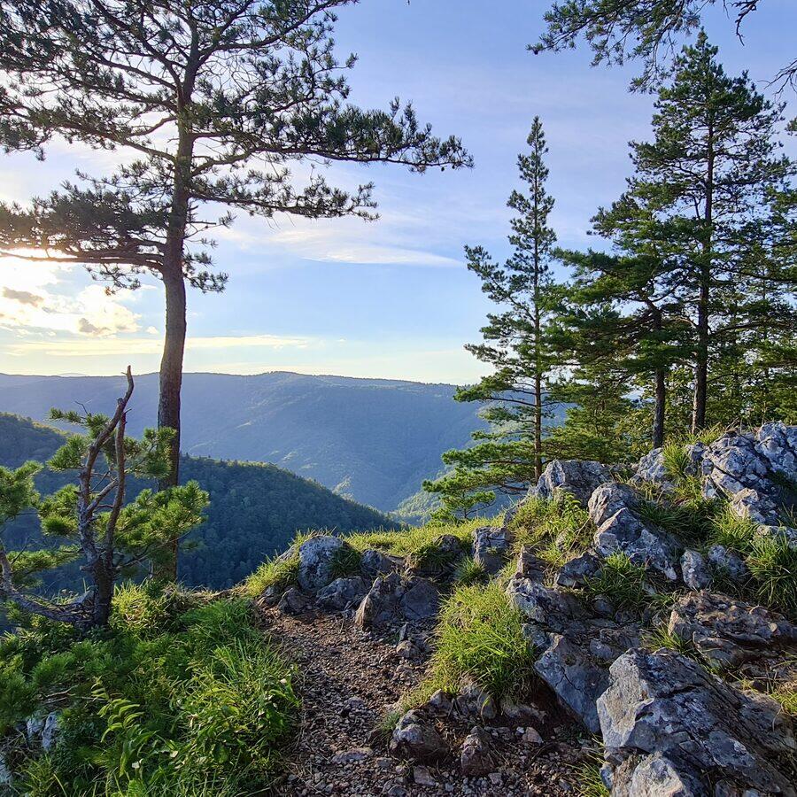 Matka Božia — foto 2