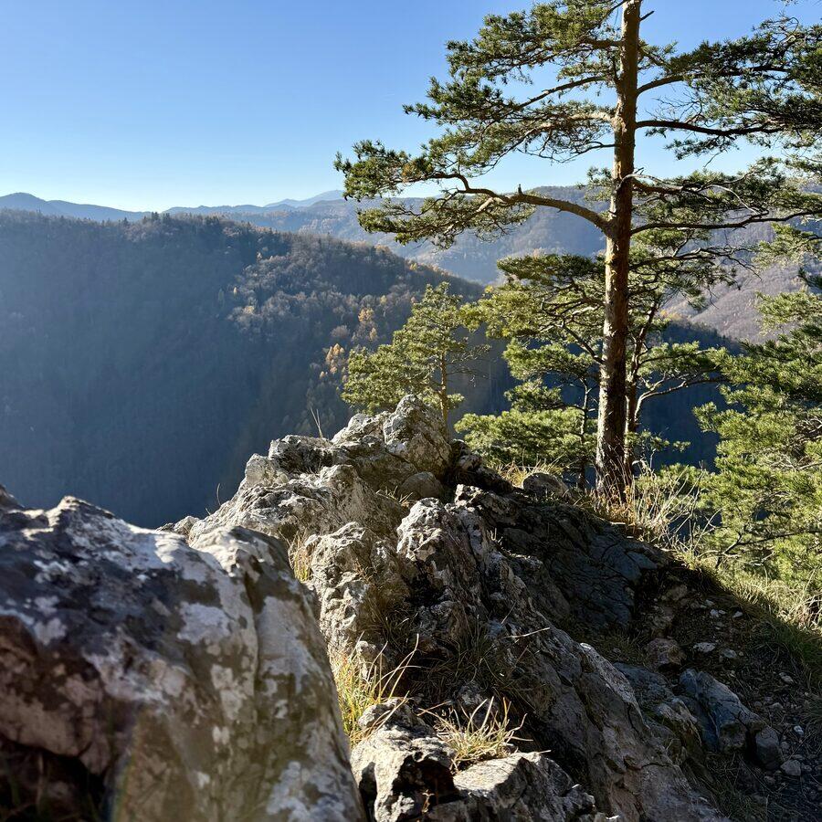 Matka Božia — foto 3
