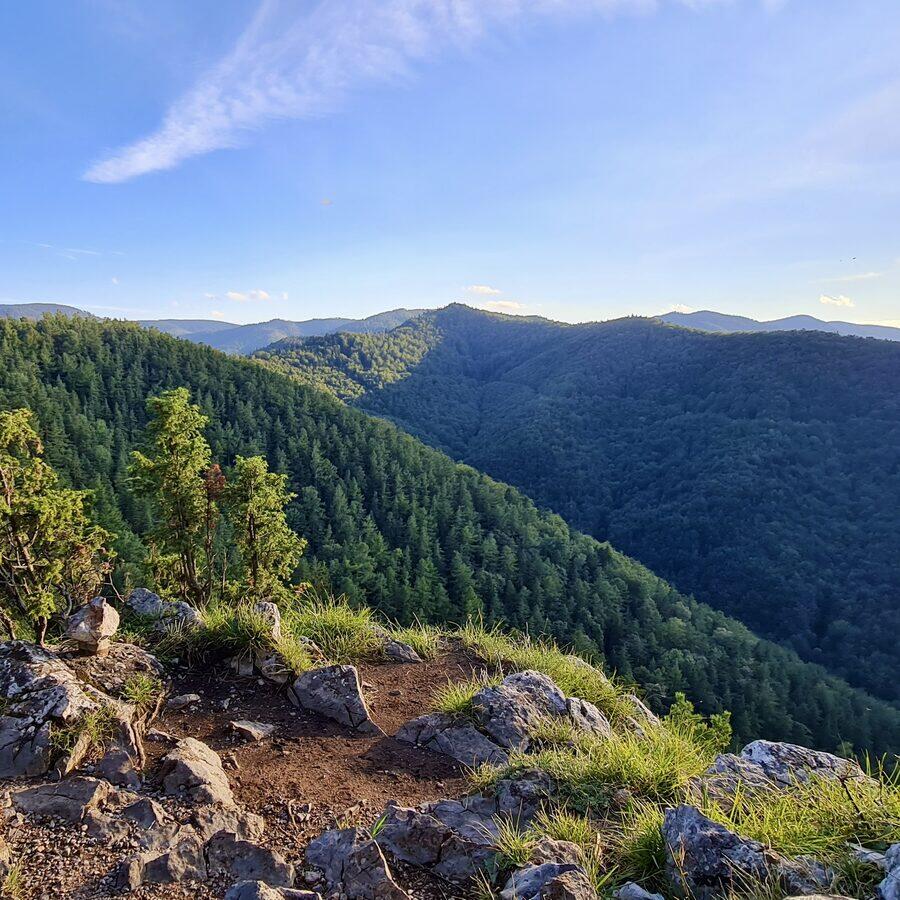 Matka Božia — foto 7