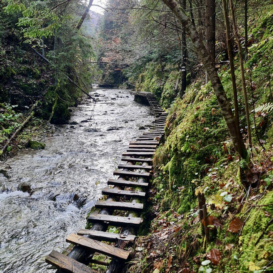 Sokolia dolina — foto 5