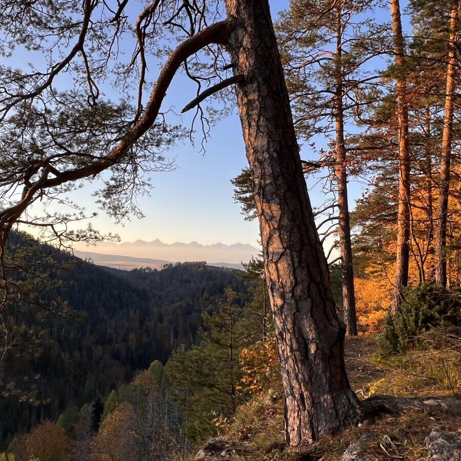 Tomášovský výhľad — foto 3
